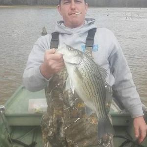 Meet your Posher, Tommy